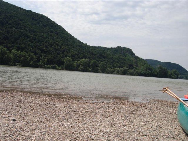 DSC05823 (Medium)